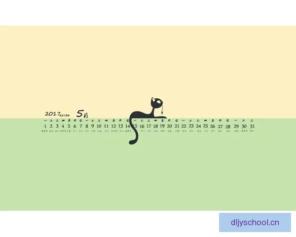 告别混乱，拥抱高效：让“更新日历”成为你生活中的“时间魔法师”